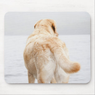 Hund auf Dock Mousepad