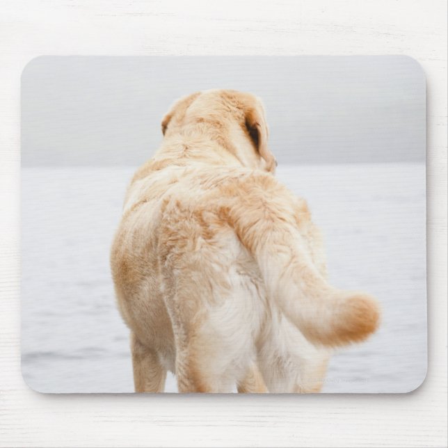 Hund auf Dock Mousepad (Vorne)