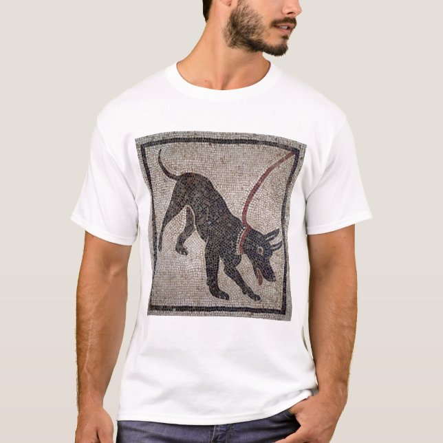 Hund auf einer Leine, von Pompeji T-Shirt (Vorderseite)