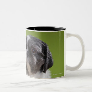 Hund auf einer Spalte Zweifarbige Tasse