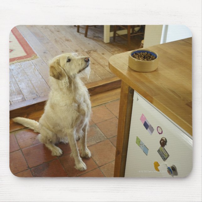 Hund auf Essen auf dem Tisch. Mousepad (Vorne)