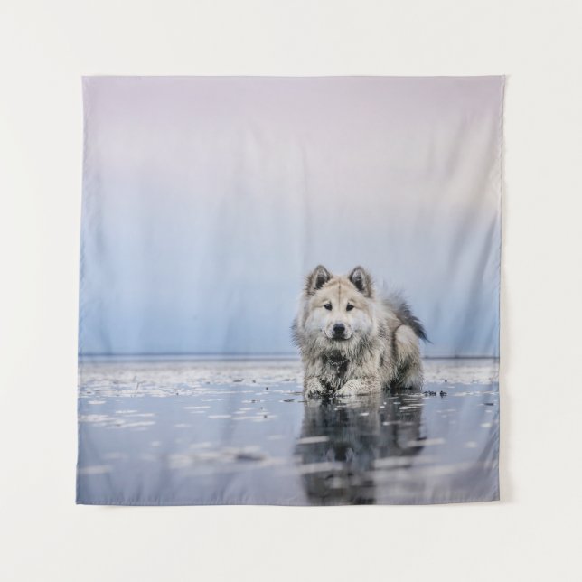 HUND AUF KALMKÖRPER WANDTEPPICH (Vorderseite)