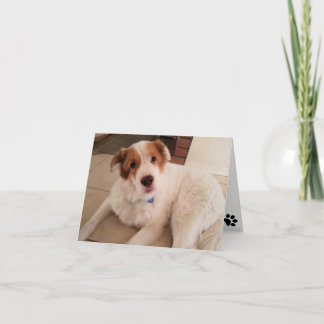 Hund auf leerer Notenkarte mit Pfotendruck Karte