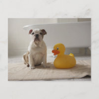 Hund auf Matte mit Plastikente