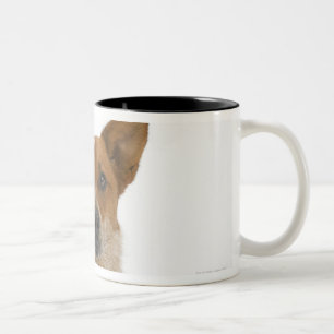 Hund auf Weiß 01 Zweifarbige Tasse