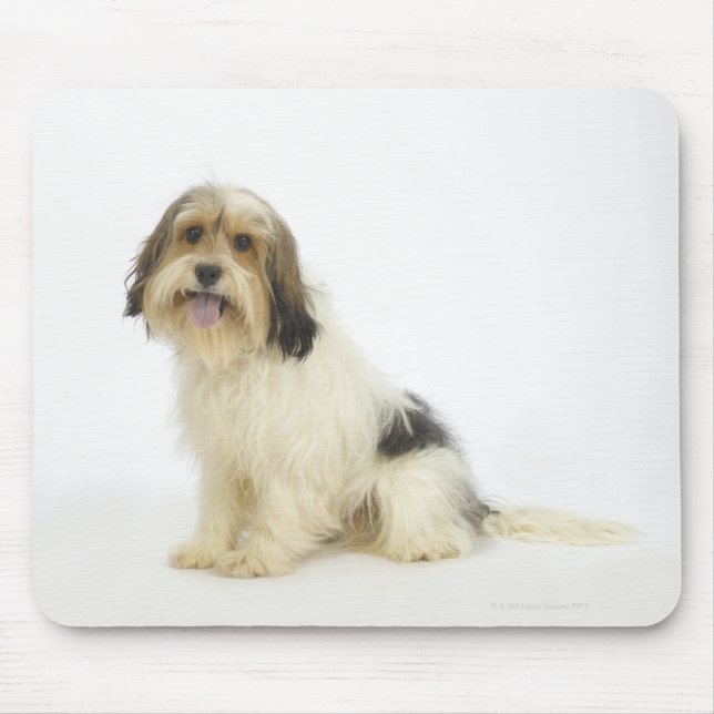 Hund auf Weiß 104 Mousepad (Vorne)