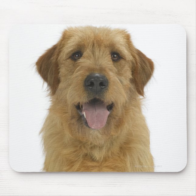 Hund auf Weiß 44 Mousepad (Vorne)