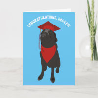 Hund aus schwarzem Labor in einer Red Graduation C