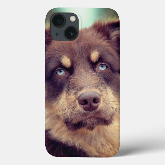 Hund, australischer Hirte, Haustier Case-Mate iPhone Hülle (Rückseite)
