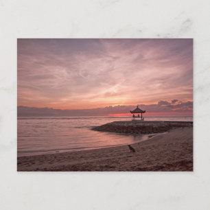 Hund bei Sonnenaufgang Postkarte