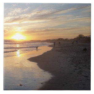 Hund bei Sunset California Dreaming Tile Fliese