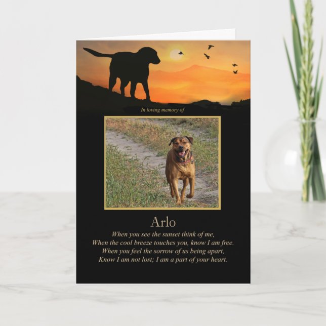 Hund Beileid Custom Foto Spirituelles Gedicht Karte (Vorderseite)