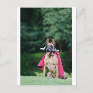 Hund beim Fitnesstining Postkarte