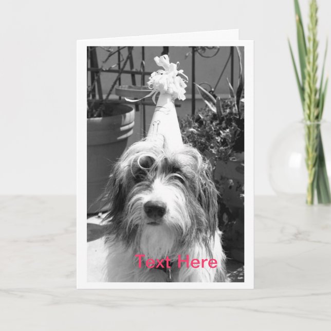Hund bereit zum Party Karte (Vorderseite)