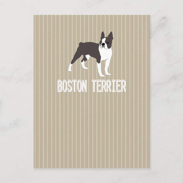 Hund Boston Terrier Postkarte (Vorderseite)