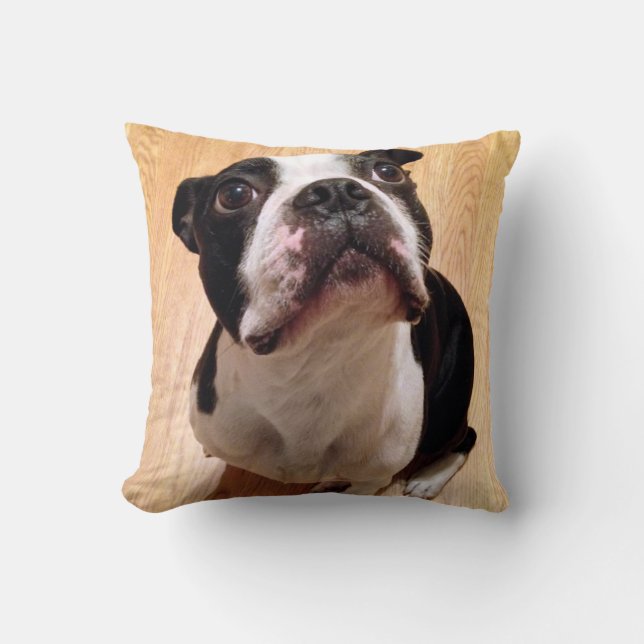 Hund Bostons Terrier Kissen (Vorderseite)