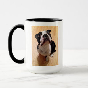 Hund Bostons Terrier Tasse