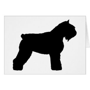 Hund Bouvier DES Flandres (im Schwarzen)