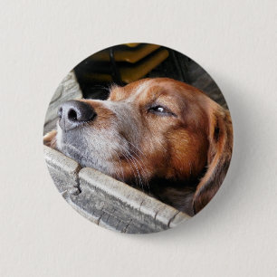 HUND BUTTON