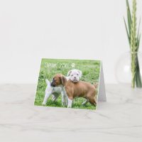 Hund danke Ihnen Karten - Boxer Dog