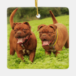 Hund De Bordeaux Hunde im Gras Keramikornament
