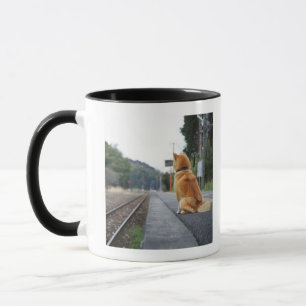 Hund, der auf Bahnstation sitzt Tasse