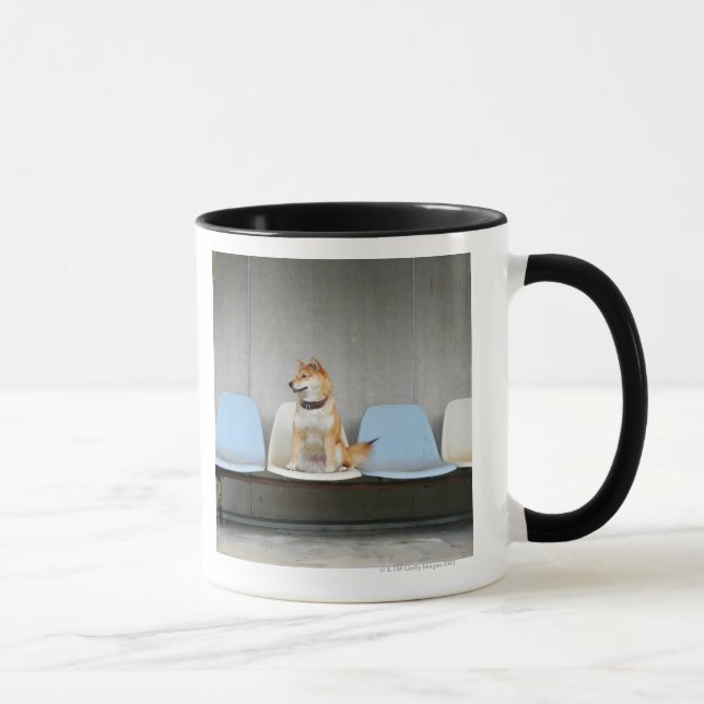 Hund, der auf Bank sitzt Tasse (Rechts)