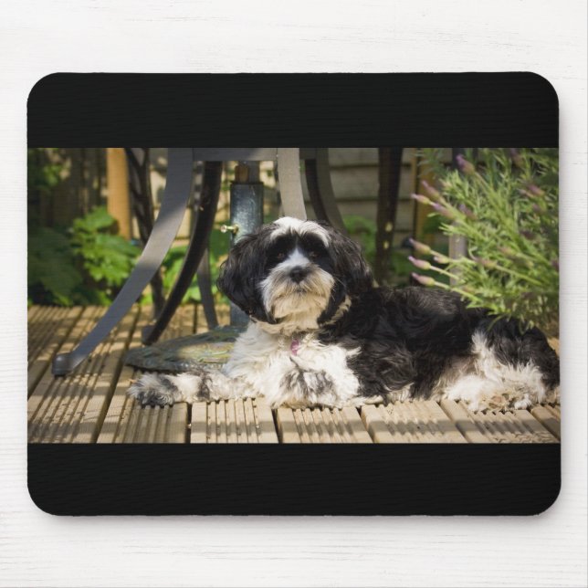 Hund, der auf Decking in der Sonne legt Mousepad (Vorne)