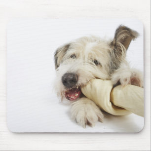 Hund, der auf Schlachthaut-Knochen kaut Mousepad