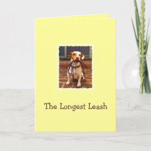 Hund, der das längste Leine-Zuhause nimmt Dankeskarte