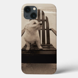 Hund, der den Strand genießt Case-Mate iPhone Hülle