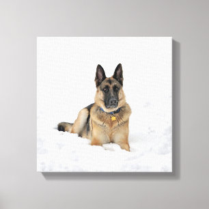 Hund der deutschen Schäferhunde in Schneekanonen Leinwanddruck