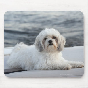 Hund, der durch das Wasser legt Mousepad