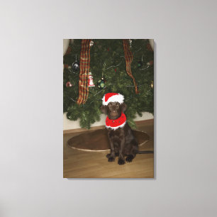 Hund, der durch einen Weihnachtsbaum sitzt Leinwanddruck