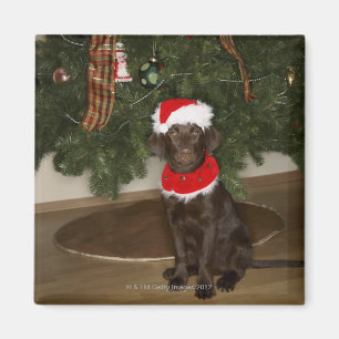 Hund, der durch einen Weihnachtsbaum sitzt Magnet
