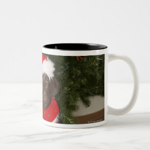 Hund, der durch einen Weihnachtsbaum sitzt Zweifarbige Tasse