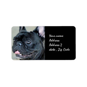 Hund der französischen Bulldogge Adressaufkleber