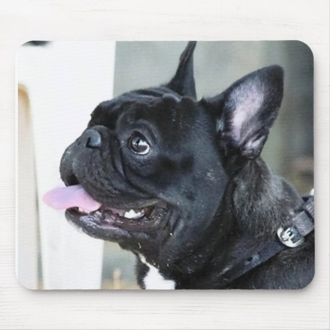 Hund der französischen Bulldogge Mousepad (Vorne)