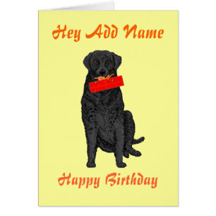 Hund, der Geburtstags-Geschenk hält