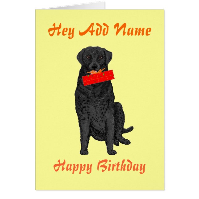 Hund, der Geburtstags-Geschenk hält (Vorne)