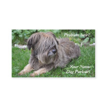 Hund, der haarigen Schäferhund pflegt