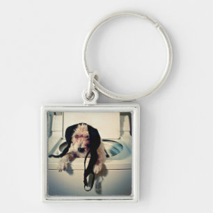 Hund, der heraus bei der Wäsche hilft Schlüsselanhänger