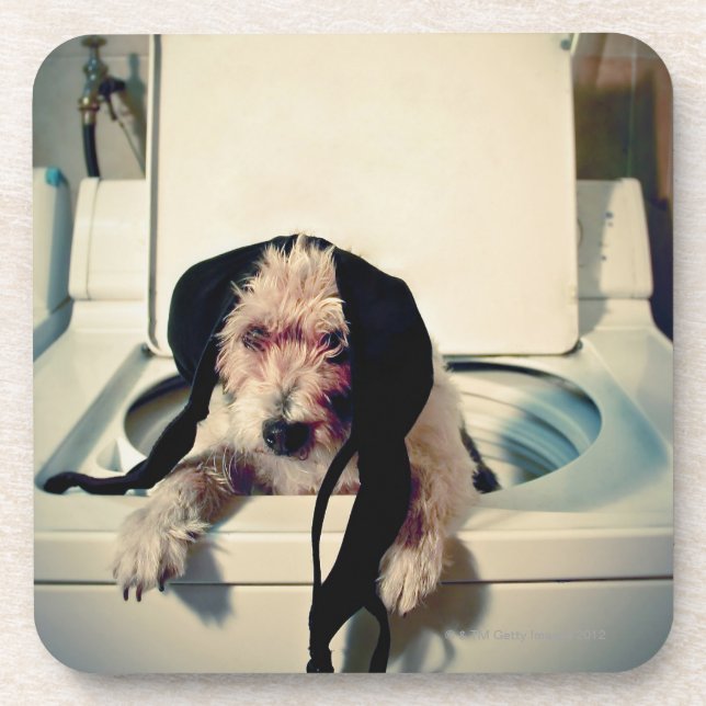 Hund, der heraus bei der Wäsche hilft Untersetzer (Vorderseite)