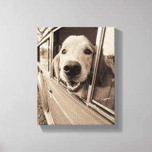 Hund, der heraus ein Auto-Fenster späht Leinwanddruck