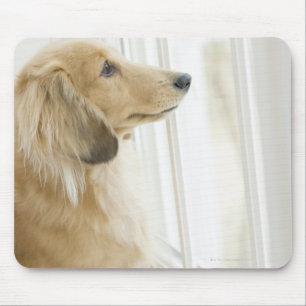 Hund, der heraus Fenster schaut Mousepad
