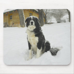 Hund, der im Schnee mit Blockhaus hinten sitzt Mousepad