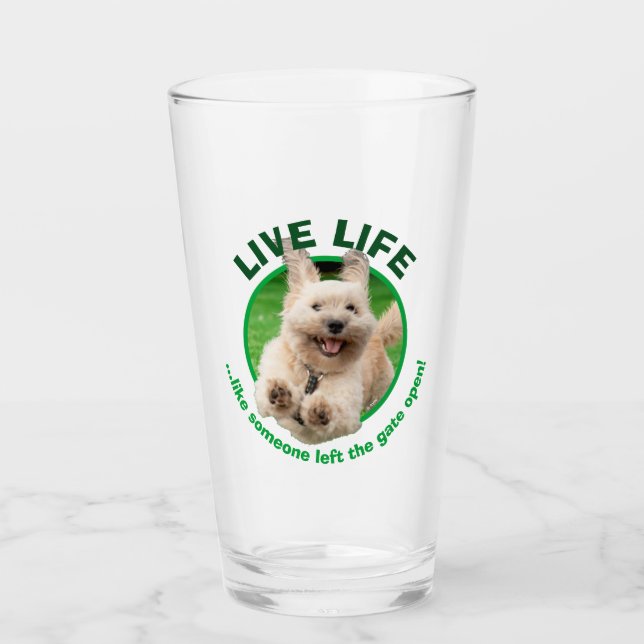 Hund, der in Hof läuft Glas (Vorderseite)