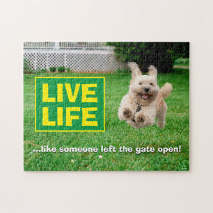 Hund, der in Hof läuft Puzzle