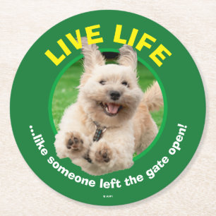 Hund, der in Hof läuft Runder Pappuntersetzer