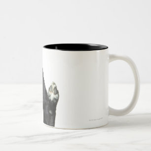Hund, der mit den Tatzen oben sitzt Zweifarbige Tasse